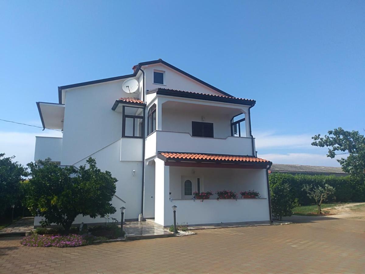 Apartment Ivana Новиград Экстерьер фото